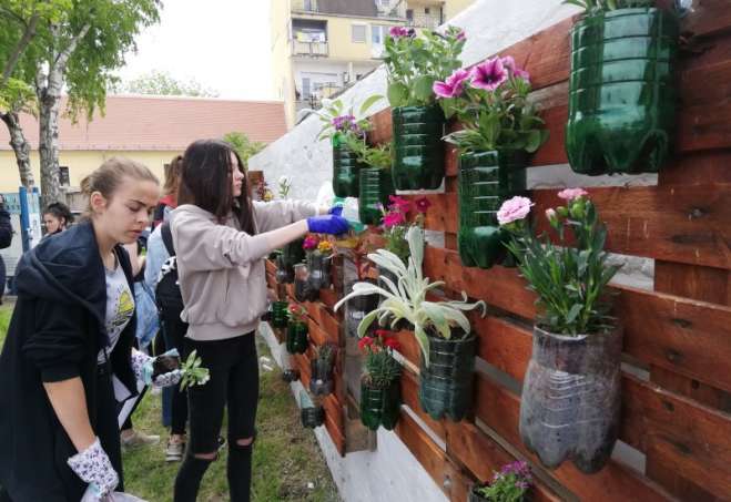 "Gimzeleni" cvećem ukrasili zid u dvorištu škole