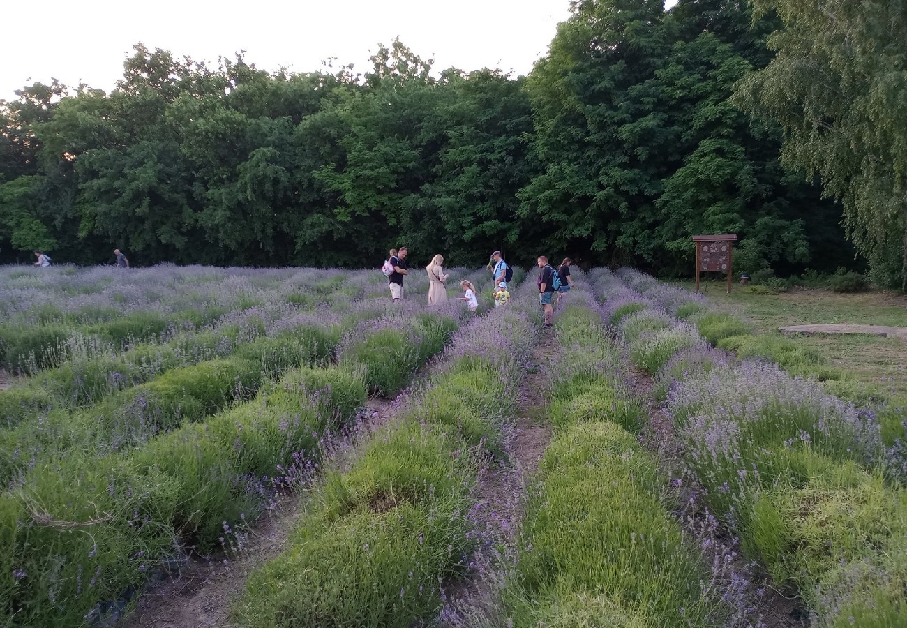 506390786 1119248700229727 3733399613558910112 n