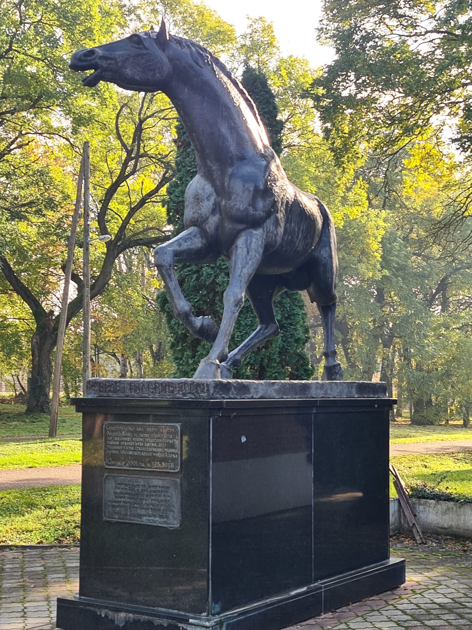 legenda konj zobnatice