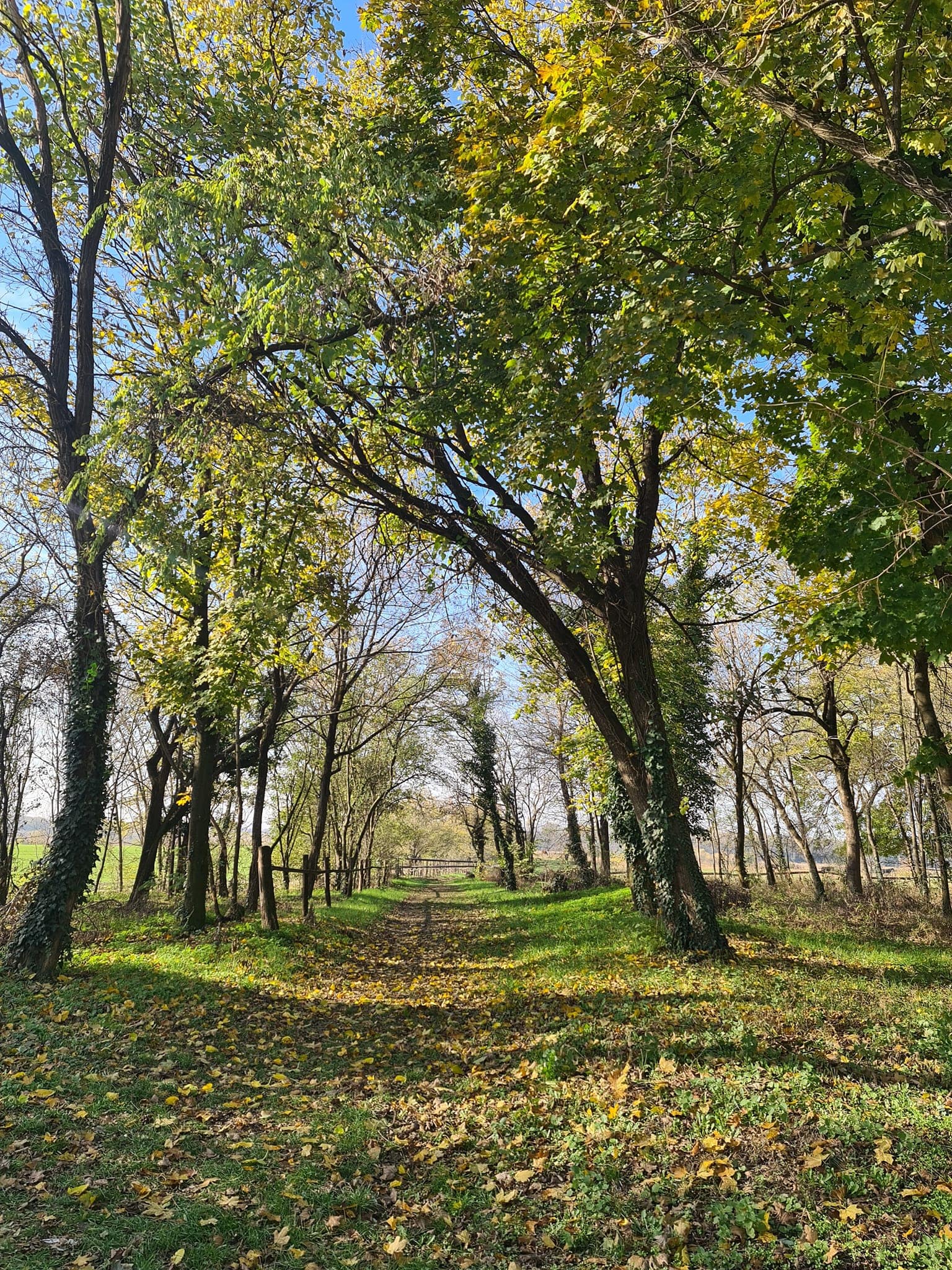 put ka jezeru u zobnatici min