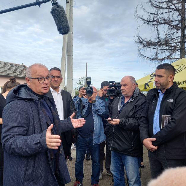 vesic u backoj topoli