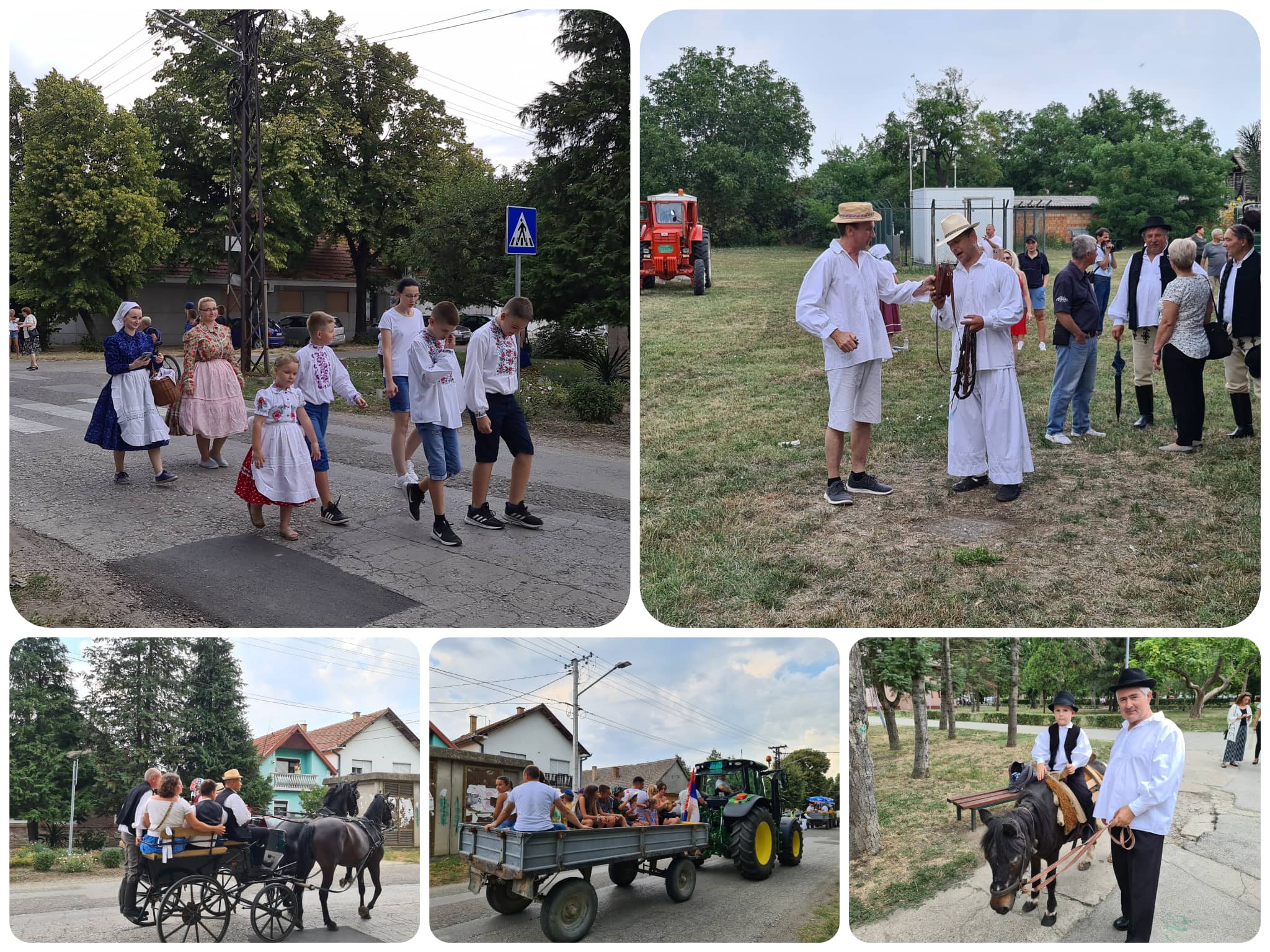 zetelacki dani vojlovica