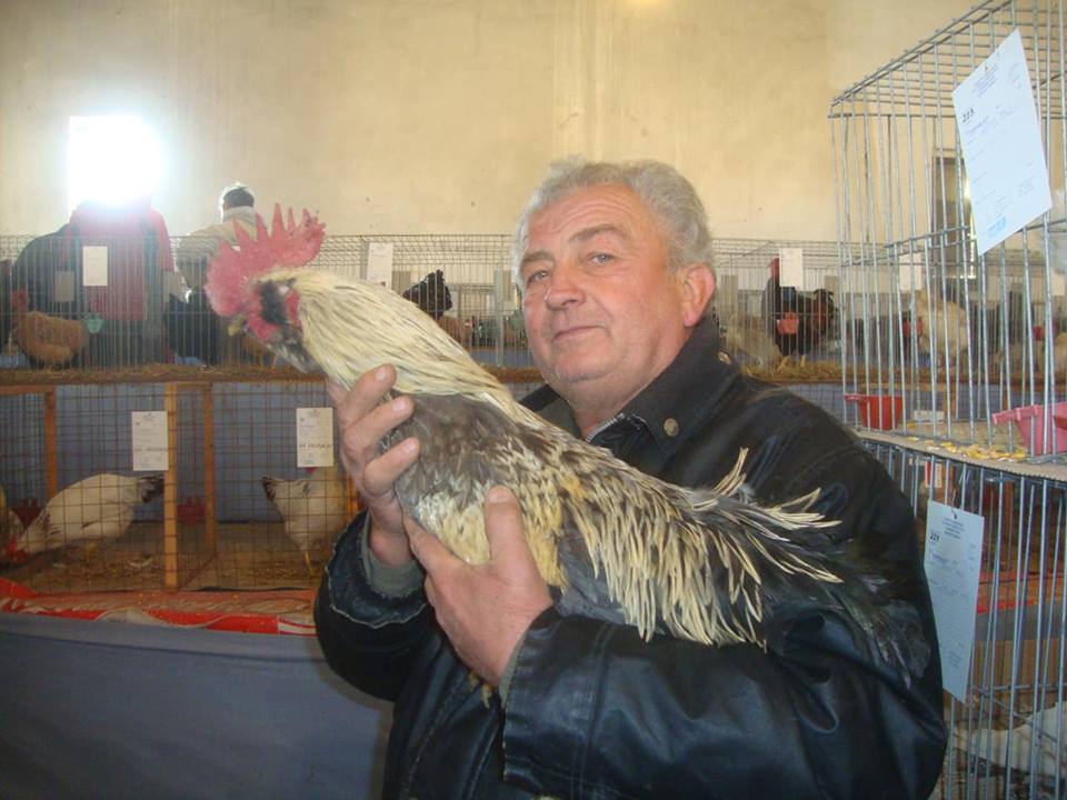 3 dobrica foto ferenc koso
