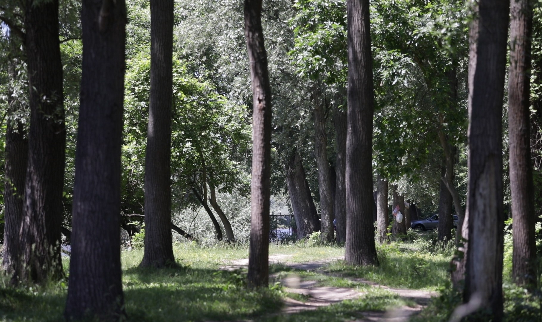 ivanovacka ada suma0 1