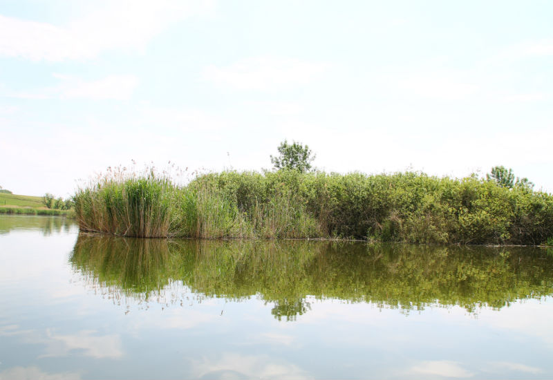 0 kraljevac plutajuce ostrvo