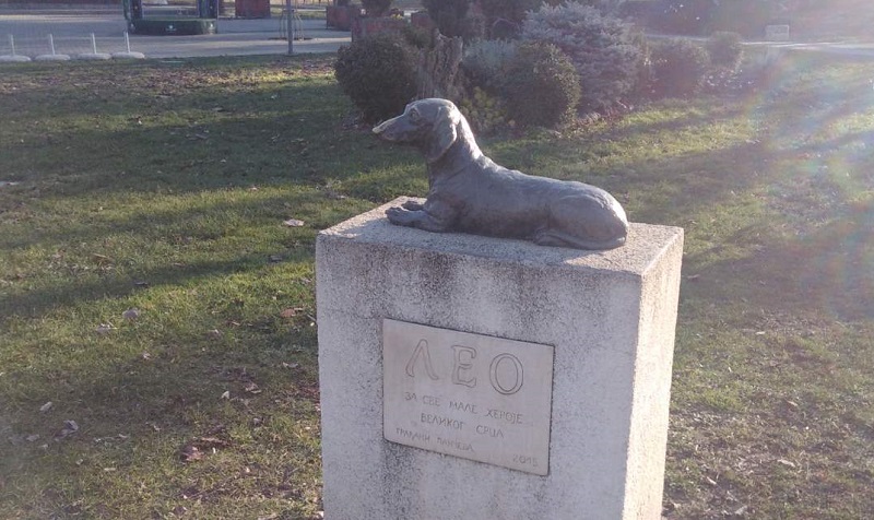 pas leo u narodnoj basti