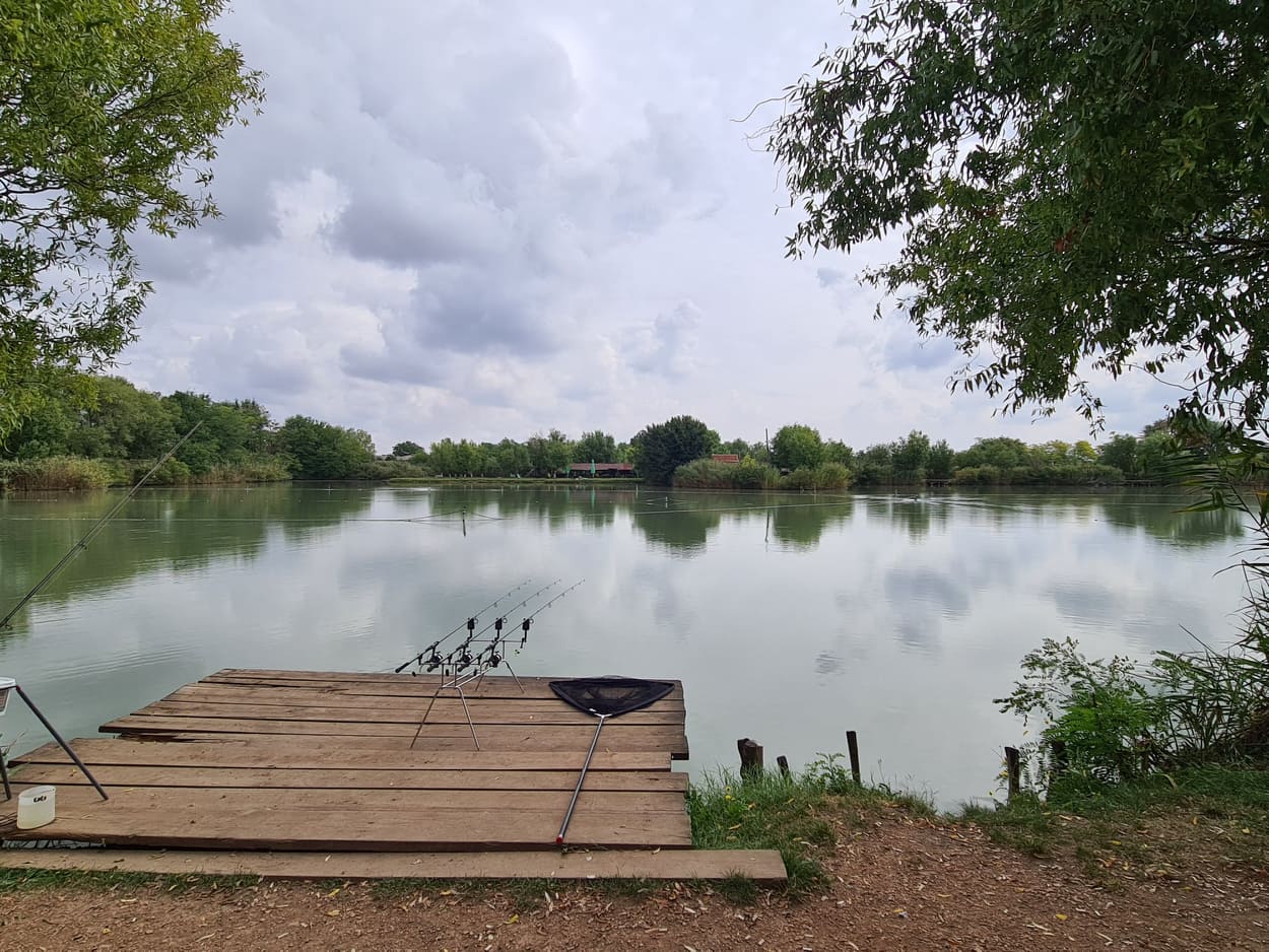 264132843 329714865633623 3907426251464989544 n