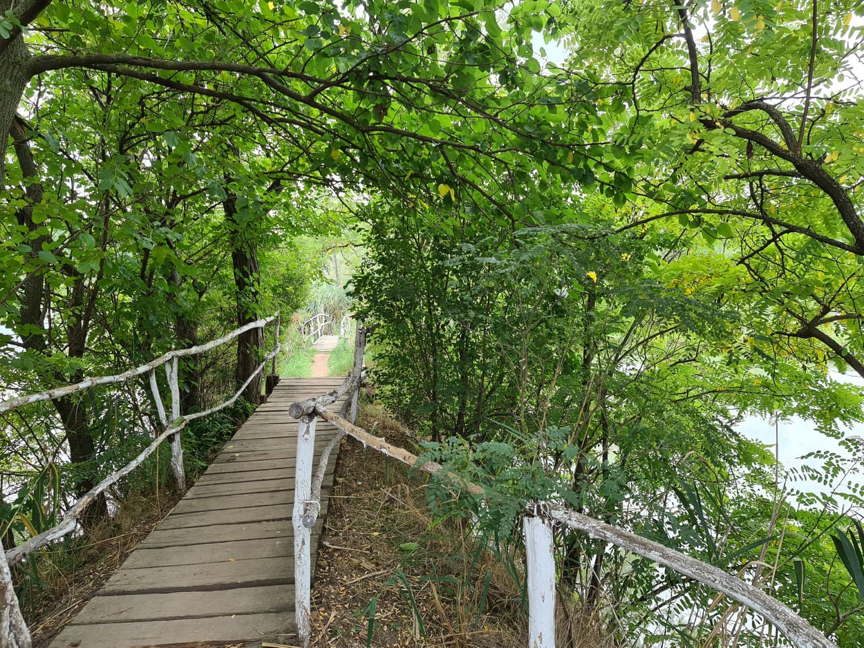 265286299 630927454790181 2852015201629571795 n