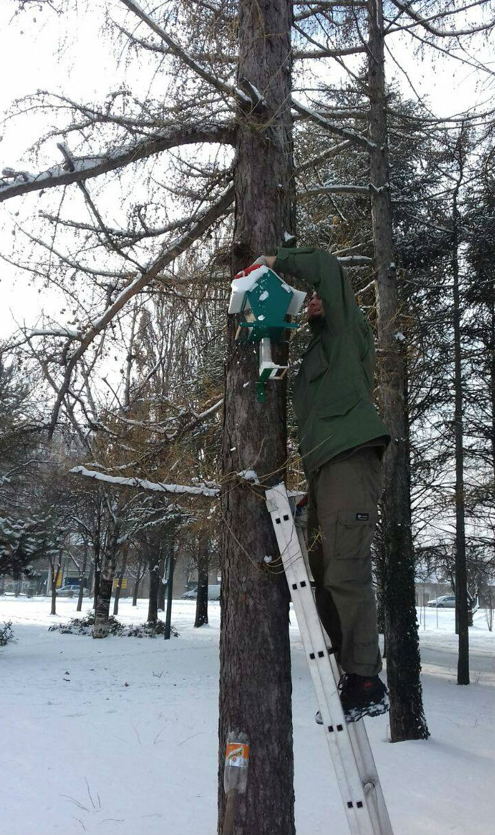 0 gorani ubacili hranu za ptice dddd