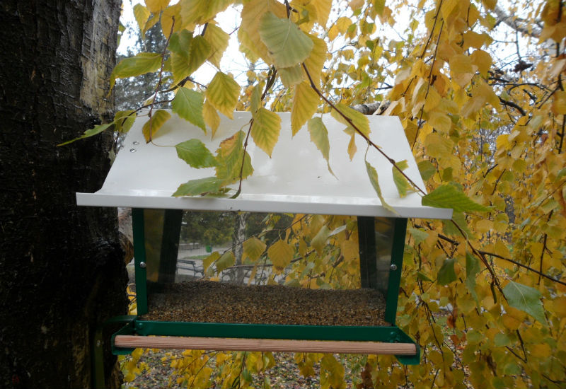 6 hranilice za ptice