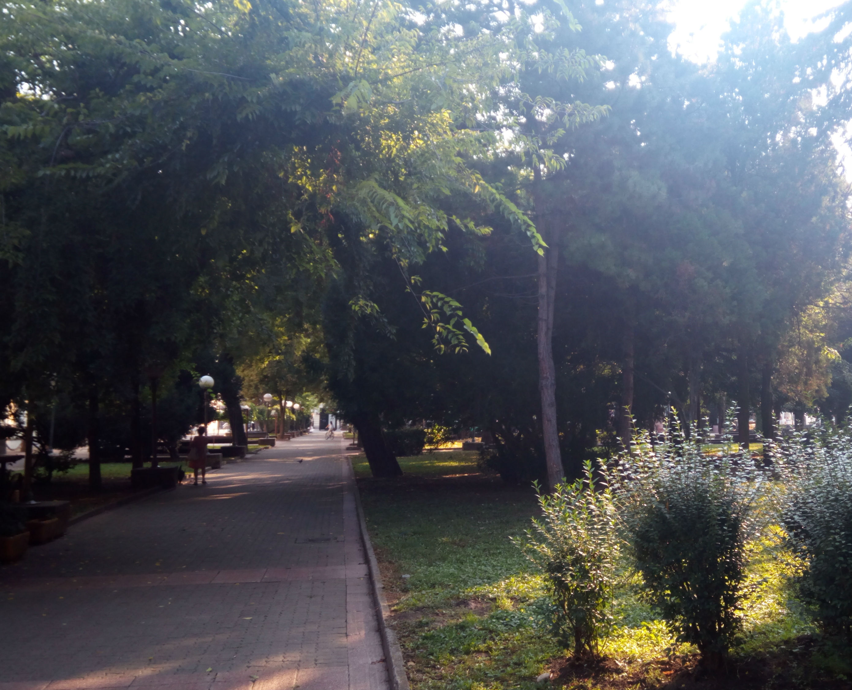 IMG 20180906 082629