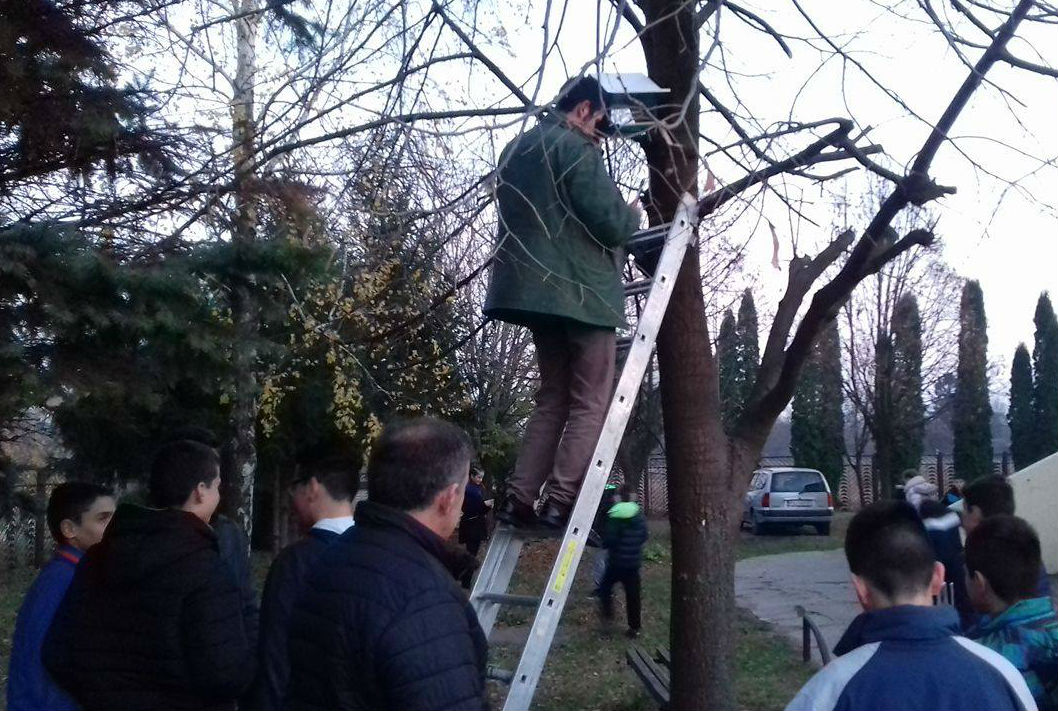 postavljanje hranilice