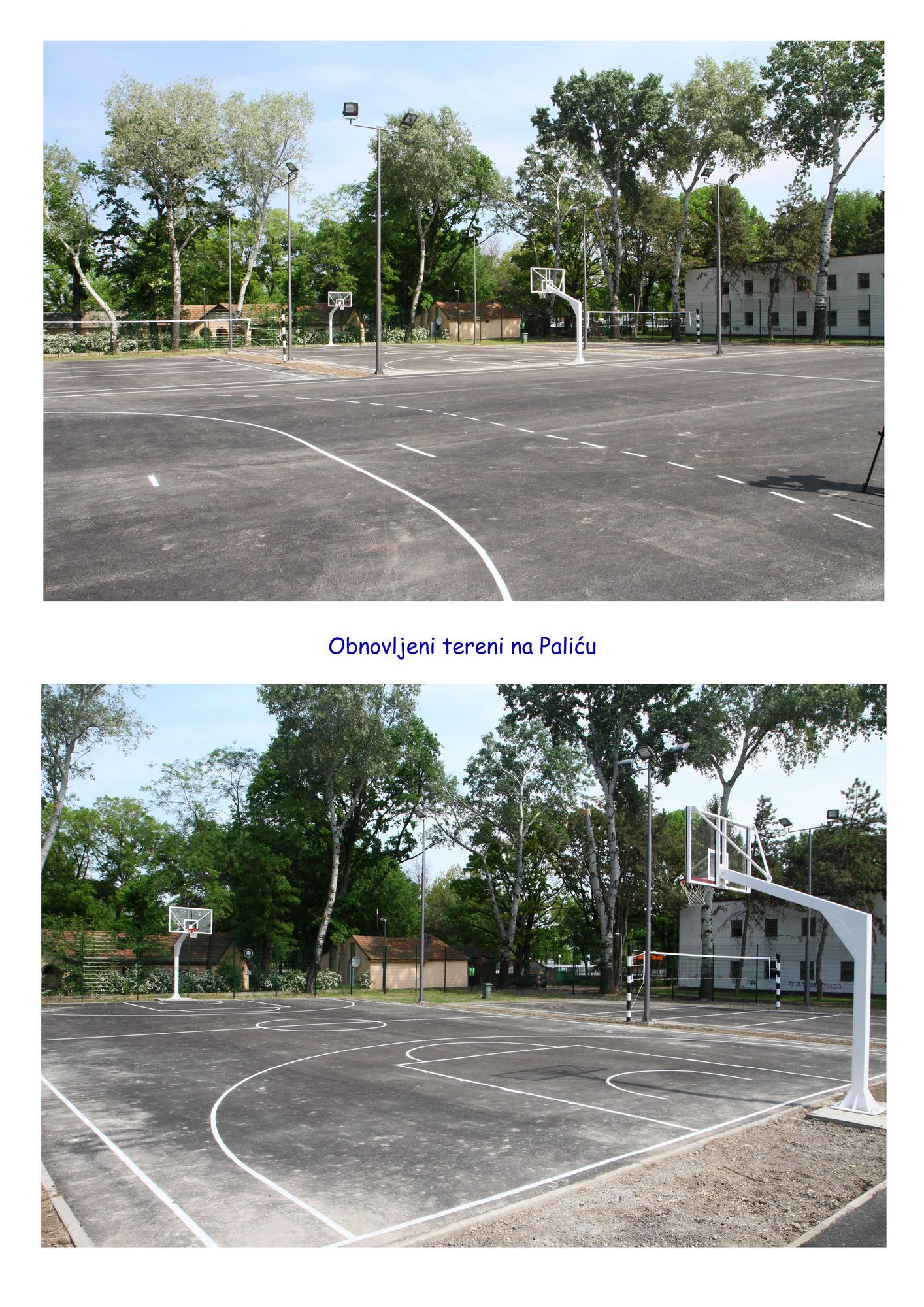 Palic