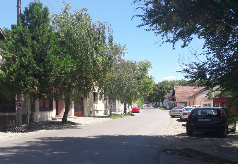 Мирка Боговића улица 2