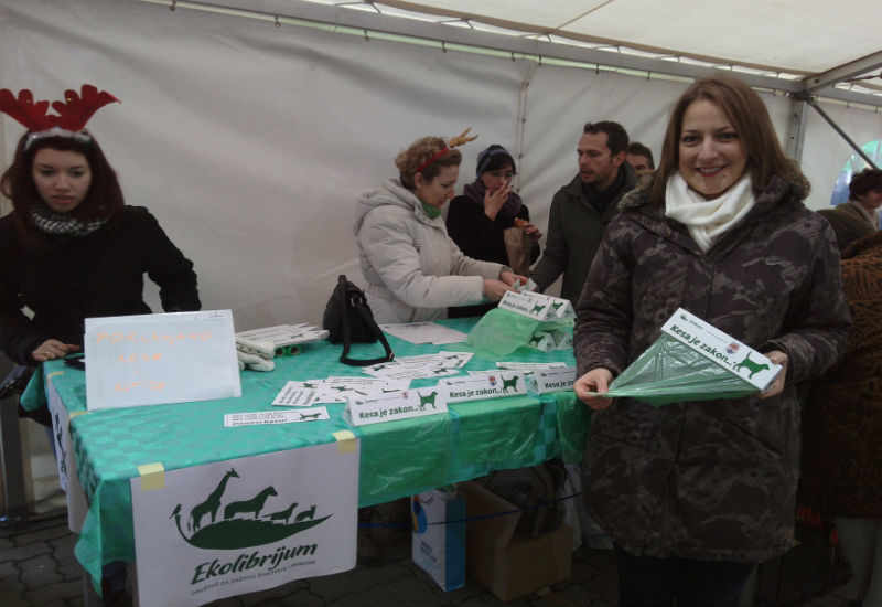 Marija Kolarski Ekolibrijum