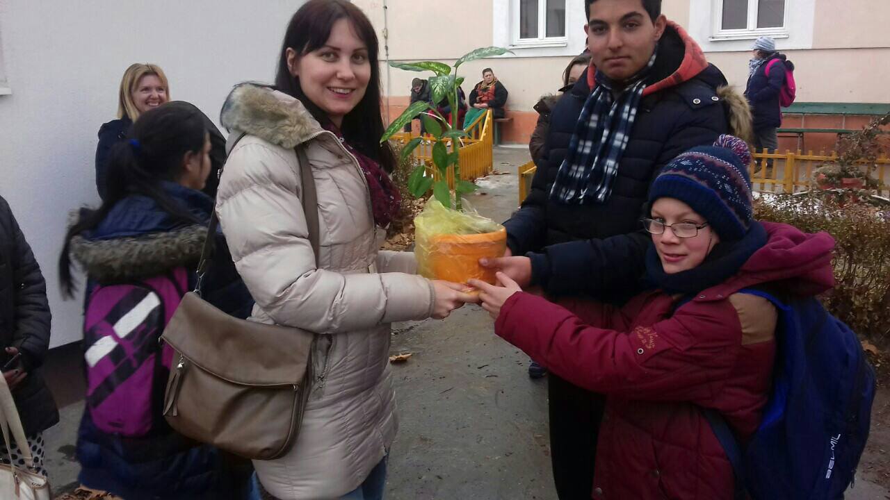 16465977 1511939725513300 1446474752 o