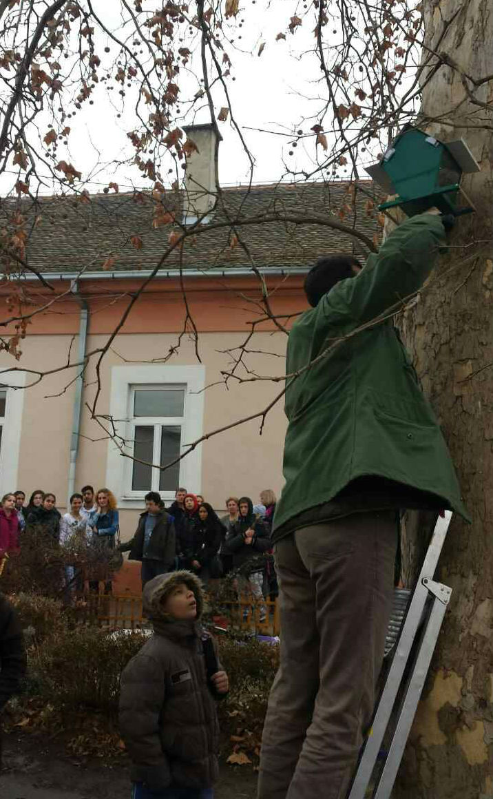 16492578 1511939645513308 455237216 o