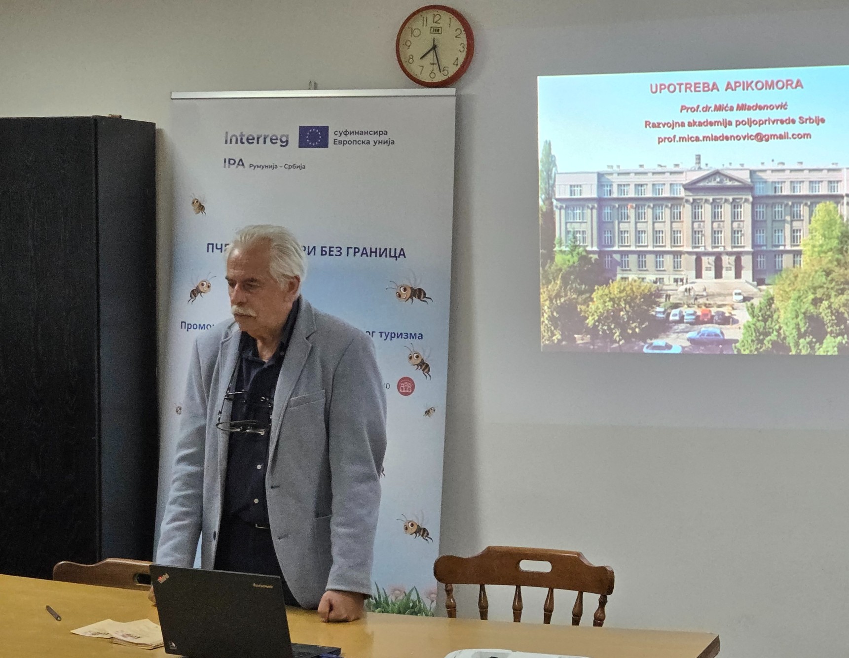 prof mica mladenovic smanjeno