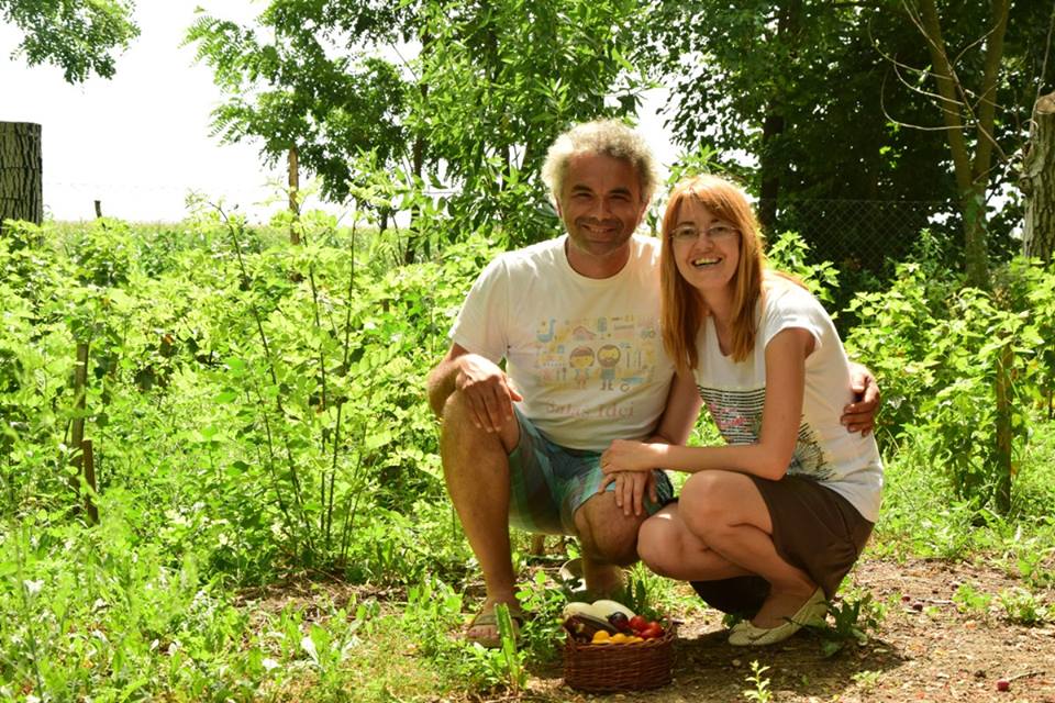 tanja i zoltan idei