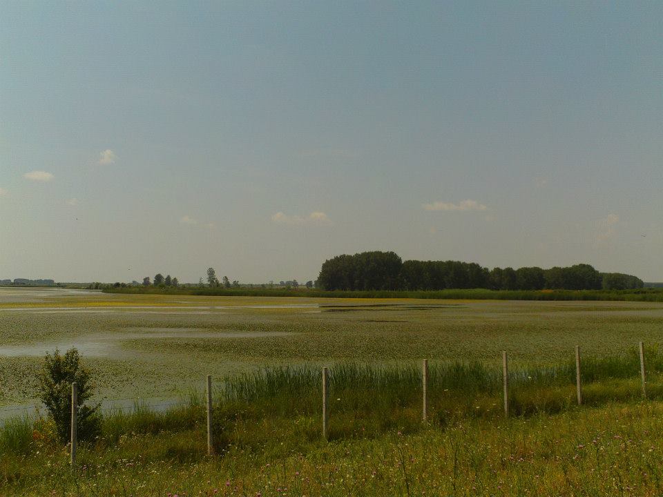 0 srednje potamisje 2013 foto