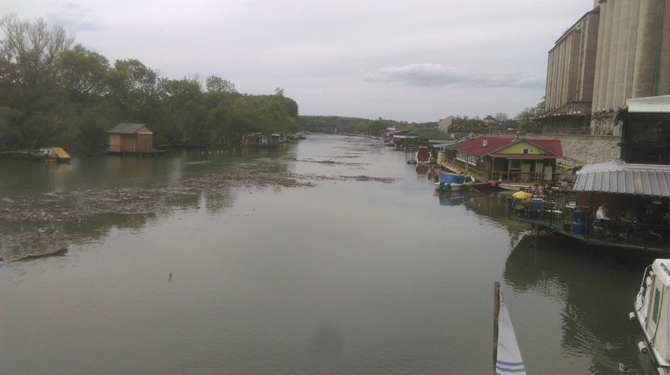 otpad u pancevu tamis