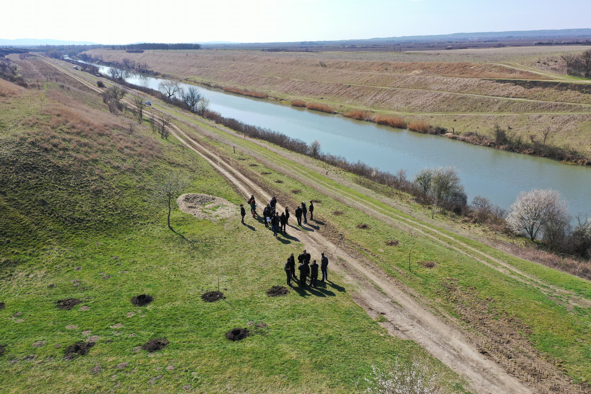 dron iznad potpornja sadnja drveca