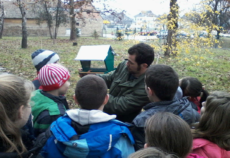 kucice su s providnim zidovima