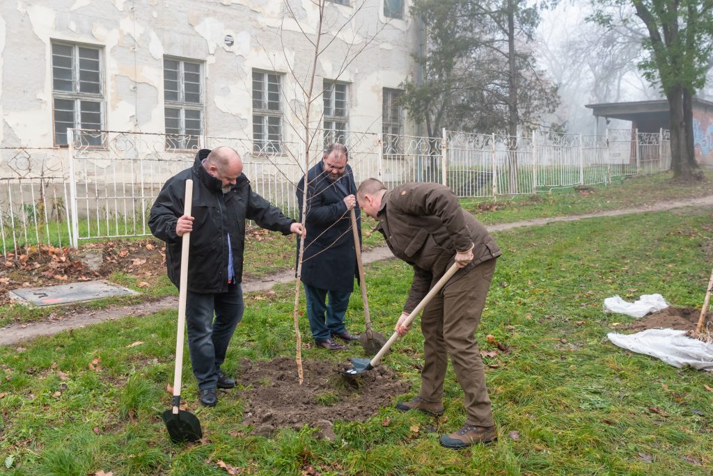 sadnja drveca u zrenjaninu