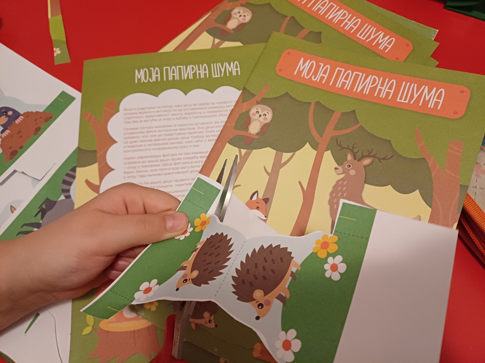 414414308 698909955665430 1316792124385775931 n