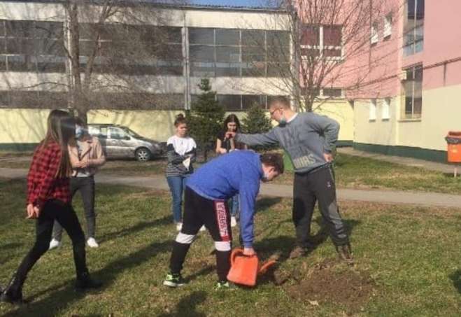 Đaci su razrednoj poklonili drvo i zajedno ga zasadili u dvorištu škole
