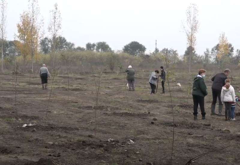 Na ovom potezu sadi se bagrem