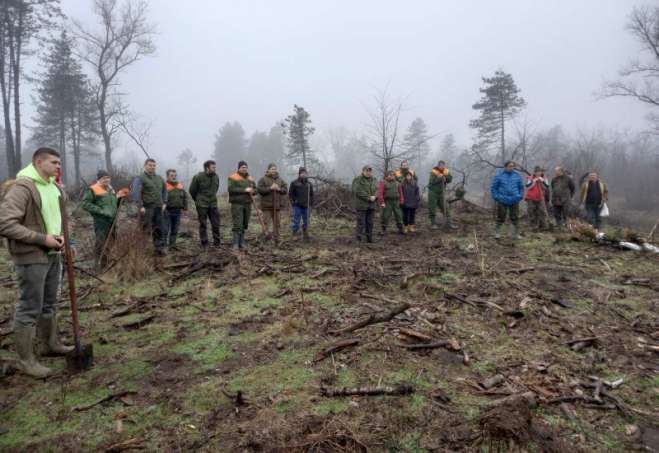 Sa akcije sadnje hrasta medunca u Deliblatskoj peščari