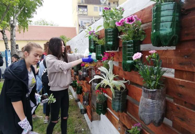 "Gimzeleni" cvećem ukrasili zid u dvori&scaron;tu &scaron;kole
