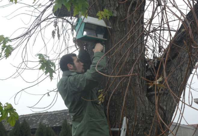 Prve kućice za ptice danas su postavljene u OŠ "Žarko Zrenjanin" u Banatskom Novom Selu