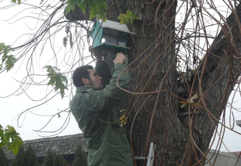 Prve kućice za ptice danas su postavljene u OŠ &quot;Žarko Zrenjanin&quot; u Banatskom Novom Selu