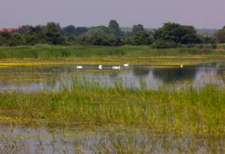 Srednje Potami&scaron;je