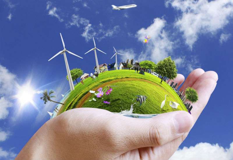 U Pančevu će biti posađene sadnice javora