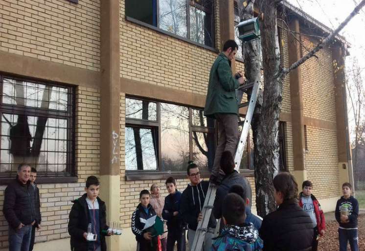 U dvorištu OŠ “Sveti Sava” u Pančevu danas je postavljeno nekoliko pojilica i hranilica za male ptice
