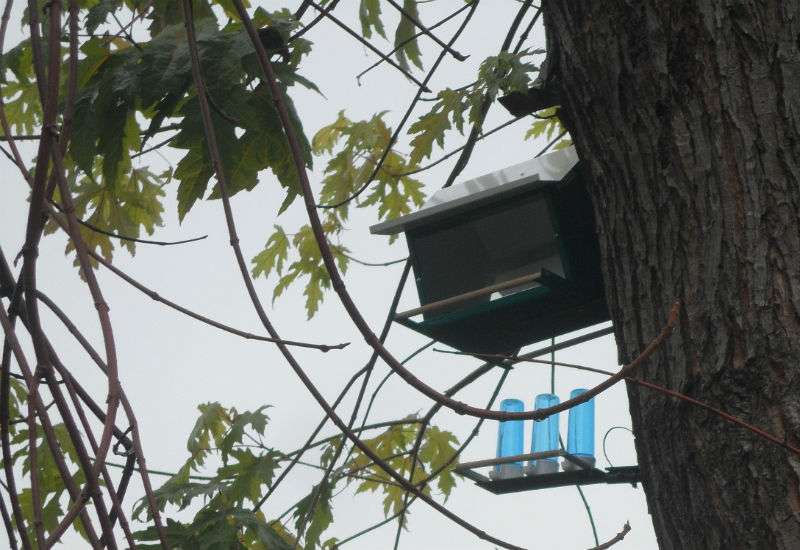Hranilice i pojilice za ptice i ove jeseni biće postavljene po parkovima i &scaron;kolskim dvori&scaron;tima