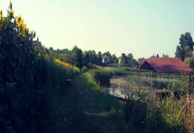 U utorak, 22. marta, povodom Svetskog dana voda, biće gosti Mesne zajednice Omoljica, sa ciljem obilaska Ponjavice i podsećanja na značaj očuvanja ovog Parka prirode