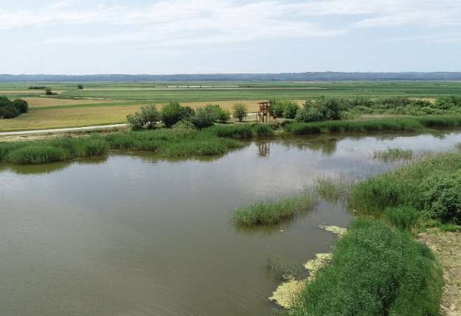 Park prirode Ponjavica