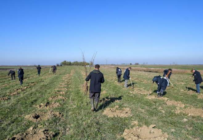 JVP „Vode Vojvodine“ priključilo njihovoj akciji „Srbija sadi“ i doniralo 26.600 sadnica
