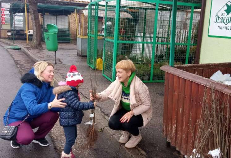U Pančevu je podeljeno 100 sadnica belog jasena