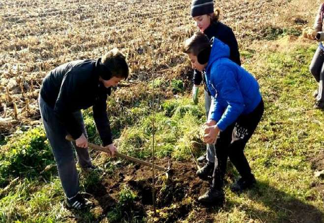 Đaci osnovne škole zasadili su 400 sadnica na istočnoj strani sela, i četiri borića kod teretane na otvorenom