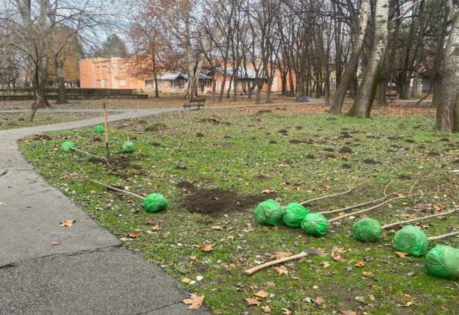 Uloga Ekološkog pokreta opštine Kovačica (EPOK), koji aktivno uključuje mlade i izviđače u akcije na terenu, je izuzetno važna