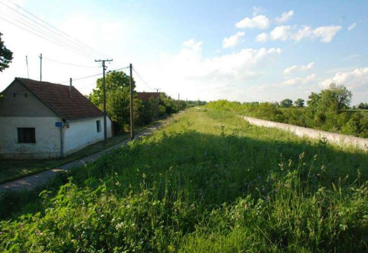 Tokom čitave godine, osim kad se Dunavac zaledi, u Ivanovo dolaze ljubitelji dobre ribe iz cele Srbije