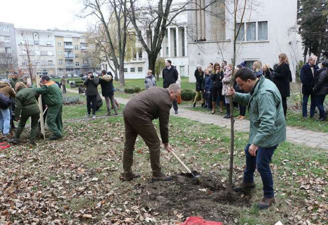 Akcija kojom je počelo ozelenjavanje Vojvodine