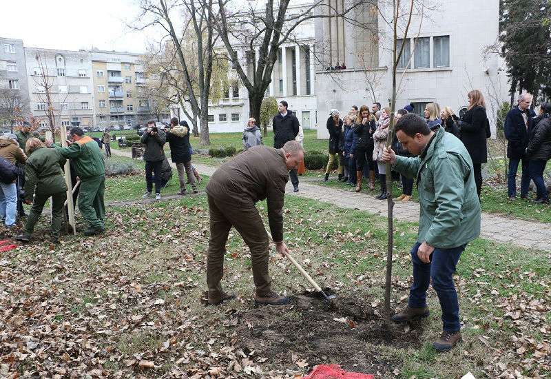 Akcija kojom je počelo ozelenjavanje Vojvodine