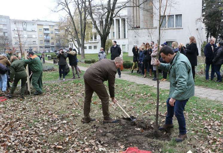 Akcija kojom je počelo ozelenjavanje Vojvodine
