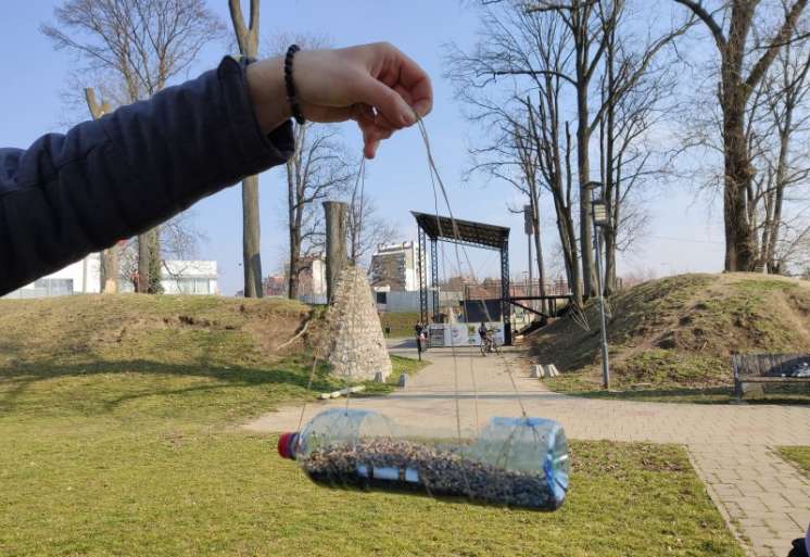 Hranilice za ptice postavljene su u parku &quot;Barutana&quot; u Pančevu